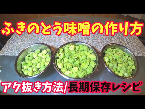 【フキノトウ三昧】ふき味噌(ふきのとう味噌)の作り方-ふきのとう天ぷらと蕗の薹キムチの山菜レシピ