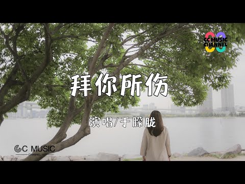 于朦胧 - 拜你所伤【#动态歌词lyrics #video 】【#高音质】【動態歌詞/Vietsub/Pinyin Lyrics】🎵