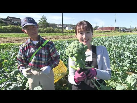 今が旬！津山特産の大きくて茎が太い「ブロッコリー」｜【笑味ちゃん天気予報】2024年10月29日放送