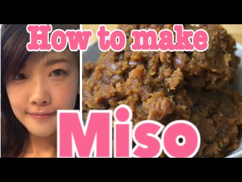 How to make live culture Home made Miso from scratch