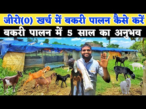 जीरो(0) खर्च में बकरी पालन कैसे करें | bakri palan se kitna fayda hota hai | Goat farming