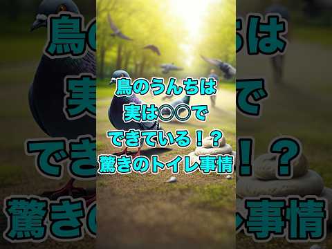 鳥のうんちは実は○○でできている！？驚きのトイレ事情