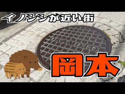 ぶらり #95  【神戸市東灘区】岡本