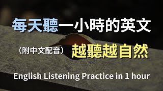 🎧保母級聽力訓練｜學會每天都用的英文句子｜真實對話場景｜輕鬆學英文｜高效提升聽力技巧｜English Listening（附中文配音）