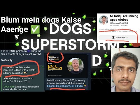 Blum Mein dogs Kaise Aaenge ✅ Aur participate pines listing Binance 🔥