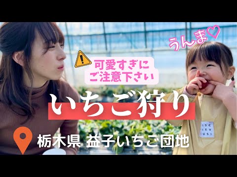 いちご好きな人は絶対に見ないでください！【いちご狩り】｜1歳10ヶ月女の子