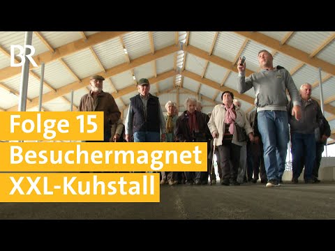 Stallgeschichten Folge 15: Komplikationen am Bau und neugierige Besucher | Unser Land | BR