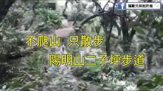 【親子自然步道】陽明山二子坪步道