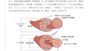 かずひろ先生の【徹底的国試対策】解剖学｜組織のプリントが完成しました