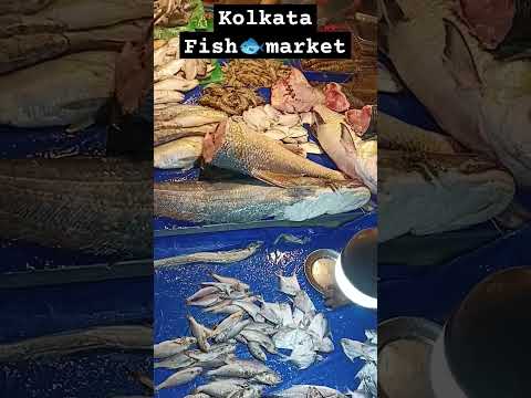 Kolkata Fish Market at night🐟😱| #trending #viralvideo #youtubeshorts #fishmarket