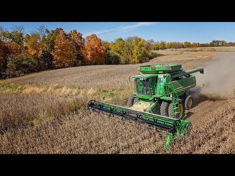 Dog Days of Harvest