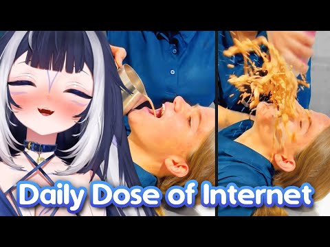 Shylily Reacts to 24min of Daily Dose of Internet