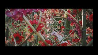 【弘前城菊と紅葉まつり】メイキング ～その先を、照らす。