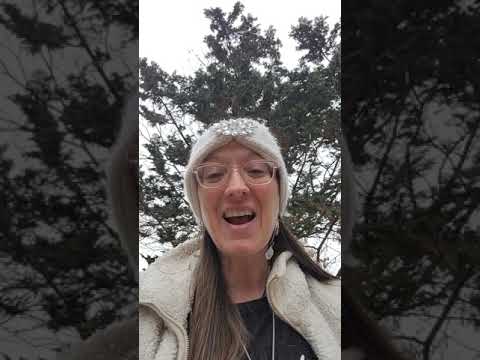 🕉Shamanic Breathing Meditation🕉 #meditation #music #asmr #relax #calm #relaxing #shaman #snow