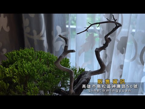 線上植選物｜全台宅小品#台灣銘園 #台灣銘園園藝事業有限公司 #景觀設計