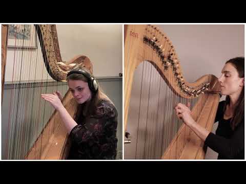 Vivaldi Duet for Two Mandolins - harp duet arrangement