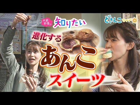 大家彩香の知りたい！「進化するあんこスイーツ」【どさんこワイド朝】 ※2023年10月6日 放送