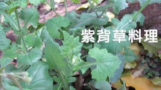 這芬芳野菜紫背草只要這樣料理，苦味立消，那香氣久久不能忘 Red Tasselflower