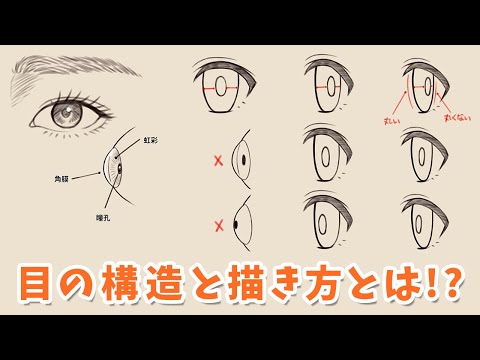 目の構造と描き方を理解しよう！シール目にせず立体的に描くコツとは!?｜パルミーで全編公開