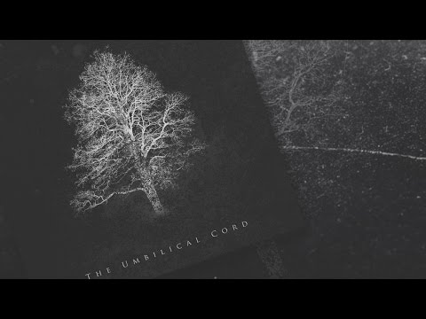 Orbit Culture - The Umbilical Cord