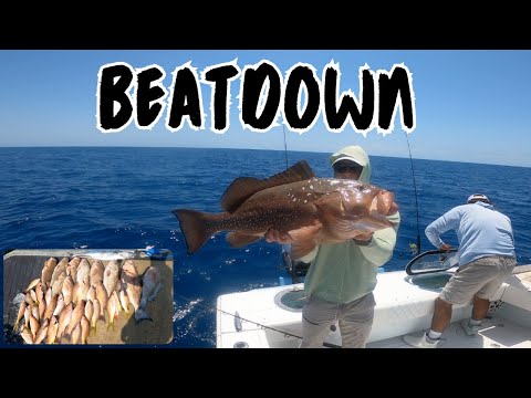 Big Red Grouper and Snapper Beatdown!