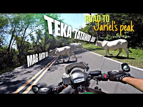 Jariels Peak - Ninja 650 with Dominar 400 Mountain Twisties Ride | Gopro Hero 4 POV