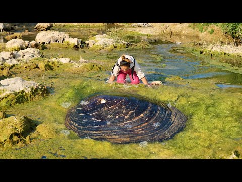 The joy of digging clams under moss, and the small surprise of harvesting pearls