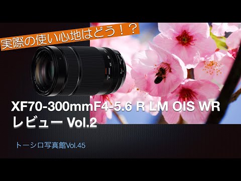 XF70-300mmF4-5.6 レビューVol.2！実際の使い勝手など【トーシロ写真館Vol.45】