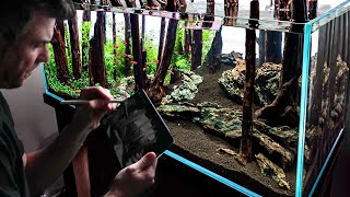 Forest Aquascape in This Complete Visual Step-By-Step Guide