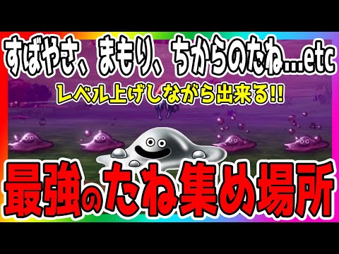 【ドラクエ3リメイク】レベル上げしながら「たね」集めできる○○が最強だった「ドラゴンクエスト3リメイクHD-2D」【金策/職業/経験値/レベル上げ/キャラ育成】#DragonQuest