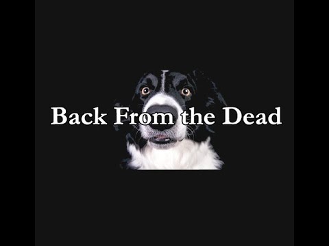 STORYTIME - by TKING N MINISTRIES - Back From the Dead (TKING)