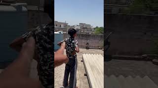 #kabootar #pigeonvlog #pigeonbird #chatri_walay_kabooter #babypigeons #minivlog