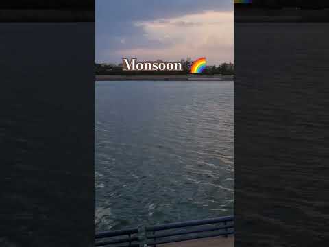 Monsoon season...#shorts #youtubeshorts #shortvideo #viralvideo