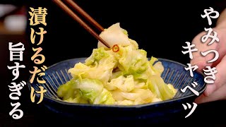 【切って漬けるだけ】一度食べたらやみつきになって市販の漬物に戻れなくなります『やみつきキャベツ』