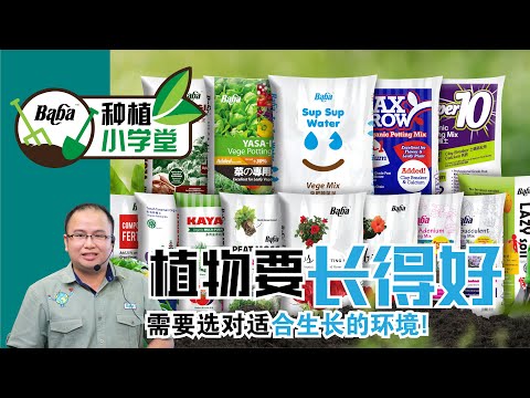 【Baba种植小学堂】你还在为有机种植土怎样选而感到苦恼？花树种植土、专用土有什么差别？| 有机种植土壤