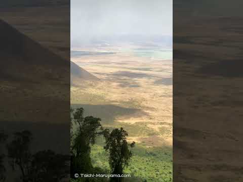 🦁ンゴロンゴロ・クレーターの広大な眺め！