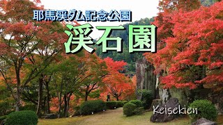 耶馬渓ダム記念公園「渓石園」紅葉の庭園を散歩