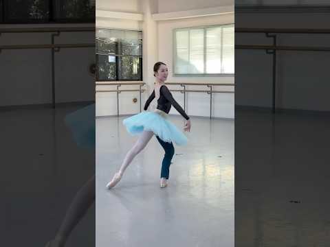 金平糖：渡辺栞菜　#ballet #dance #nbaバレエ団 #shorts