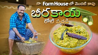 Beerakaya Roti Pachadi Recipe In Telugu || బీరకాయ రోటి పచ్చడి  || Food on Farm ||