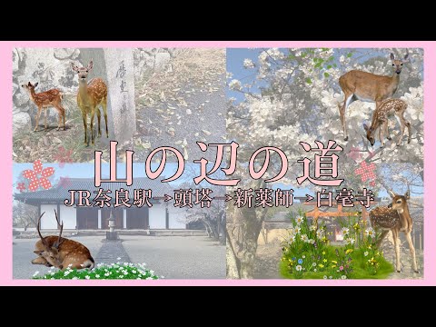 【日本最古の道】山の辺の道歩いてみた💁‍♀️【奈良観光】