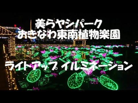 🌴✨美らヤシパーク おきなわ東南植物楽園 ✨ライトアップ イルミネーション#沖縄