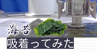 【吸着ってみた】海苔【コンバム】