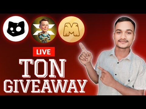 Live Ton giveaway 🤑 | X Empire Live Ton giveaway | Cats Live Ton giveaway 🤑😎