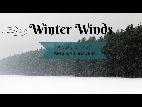 Howling Winter Winds: Ambient Sound for Peace and Comfort