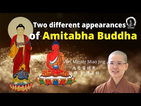 Two Different Appearances of Amitabha Buddha | Ven. Abbess Master Miao Jing | 阿彌陀佛不冋的二種形象？妙淨法師