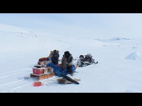 Arrival by snowmobile at the beginning of the expedition - Penny Icecap 2009 expedition