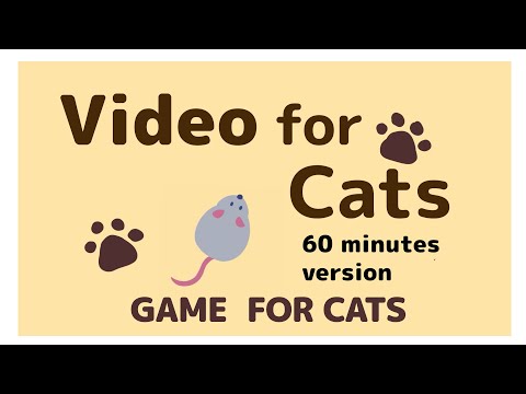 Game for cats 60min