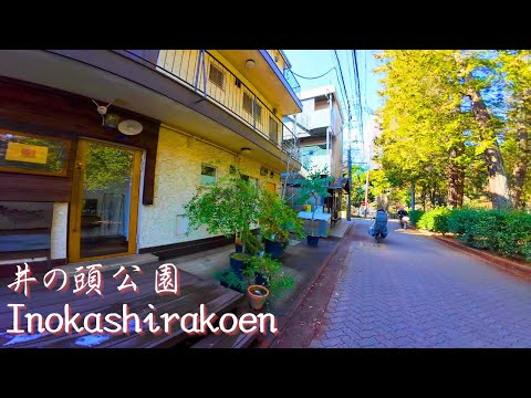 [Tokyo Edition] A walk starting from Inokashira Park Station: 4K Japan