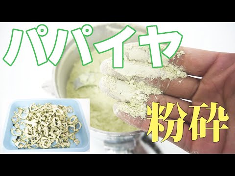 【青パパイヤパウダー】パパイヤを粉砕（ミニスピードミル）