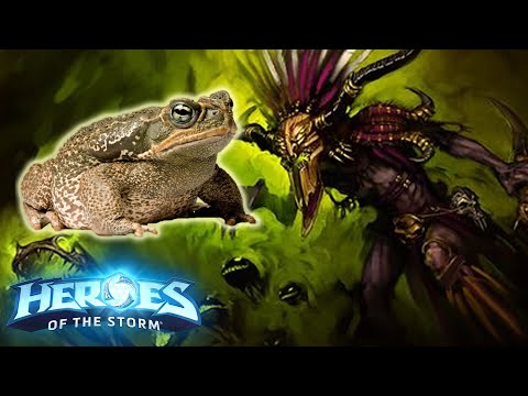 Nazeebo 🐸 TOAD BUILD DOESN'T ALWAYS SUCK??? | Heroes of the Storm (Hots) Nazeebo Gameplay